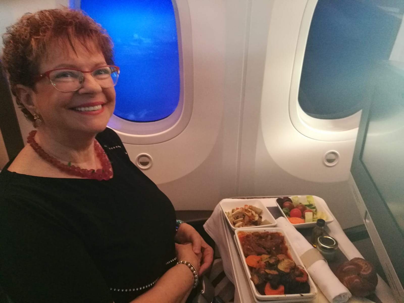 תמונה שנשלחה ע"י עירית רוזנבלום ממטוס אל על בדרכו לפריס באמצעות ה- WIFI. צילום IAS