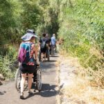 פארק הירדן: קק"ל ממליצה על יער נגיש לכלל הציבור