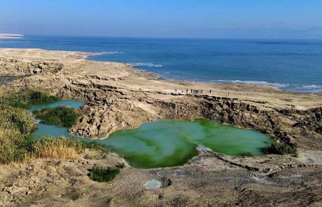 תיירות קַלְיָה: נווה מדבר במקום הנמוך בעולם, עם שפע אפשרויות לאירוח