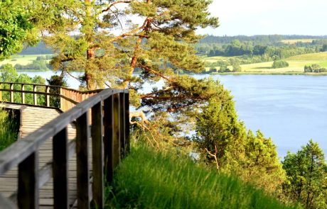 ליטא: הכבוד העצום שיש כאן לטבע