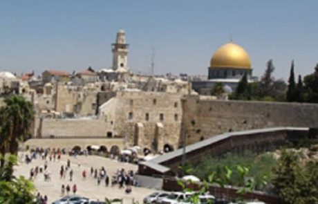 מרתון ירושלים – עלייה במספר המשתתפים