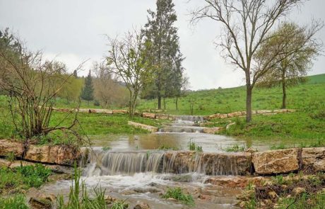 התיירות במועצה אזורית מגידו חוגגת עונה של פריחה והתחדשות