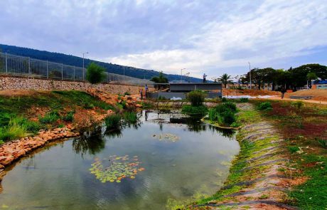"פרפרים הם חופשיים": פארק הפרפרים הראשון בישראל, בבקעת כרמיאל