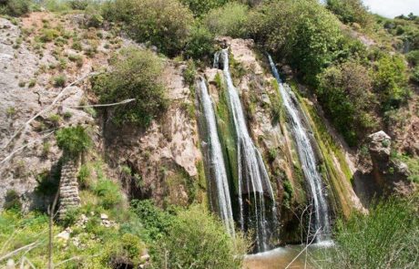 הכל פתוח: שמורת הטבע נחל עיון, נפתחת היום (ה')