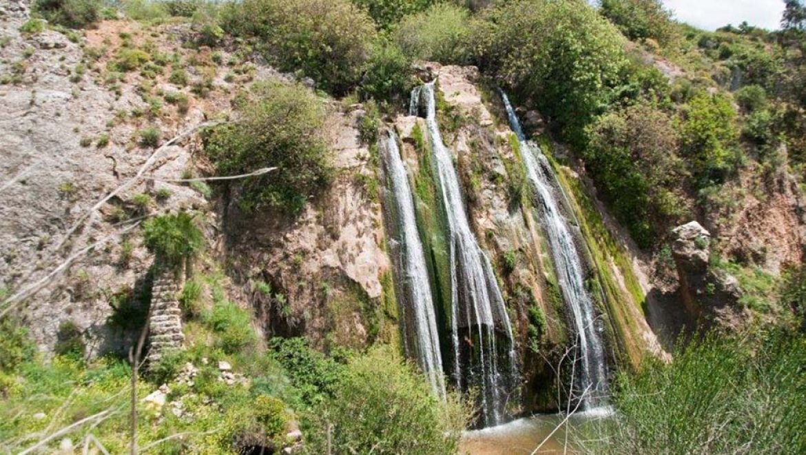 הכל פתוח: שמורת הטבע נחל עיון, נפתחת היום (ה')