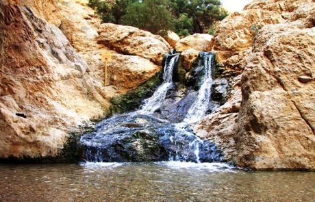 יום בתי הגידול המימיים: מטיילים באתרים שליד מקורות מים