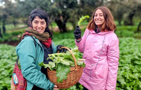 מוזמנים לסיורי ליקוט וסדנאות בטבע, בגליל המערבי. זו העונה!