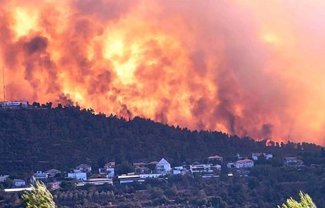 אסון השריפה בהרי יהודה: פגיעה ברכוש, בבעלי חיים, בצמחייה ובתיירות