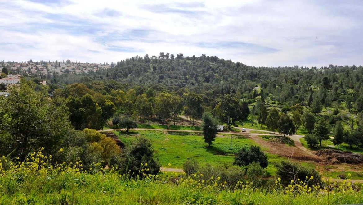 מטיילים בחג האביב באתרי קק"ל היפים והפורחים