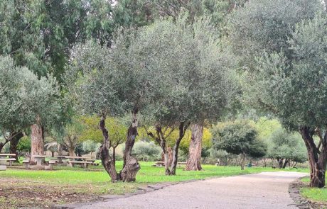 מטיילים בשמורת טבע מג'רסה ונהנים מתערוכת תצלומים