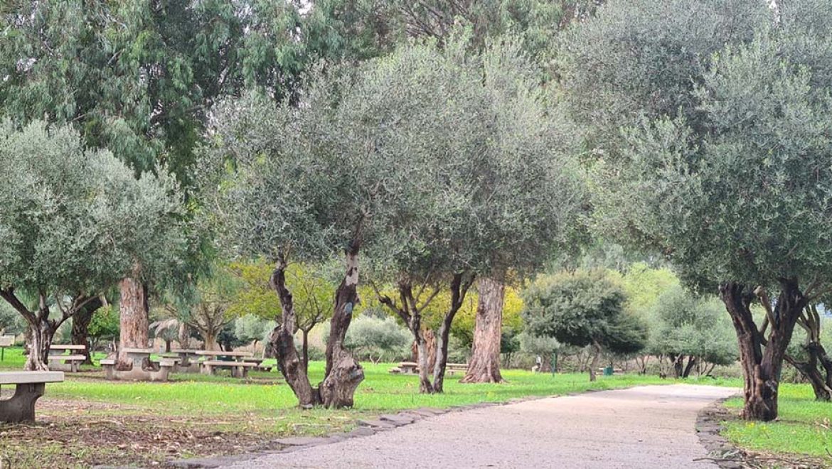 מטיילים בשמורת טבע מג'רסה ונהנים מתערוכת תצלומים