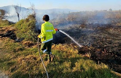 עדכון דוברות רט"ג: מספר מוקדי שריפה בשמורת החולה כתוצאה מנפילות