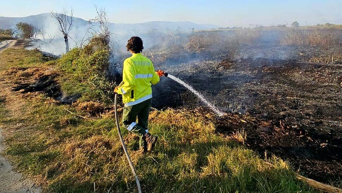 עדכון דוברות רט"ג: מספר מוקדי שריפה בשמורת החולה כתוצאה מנפילות