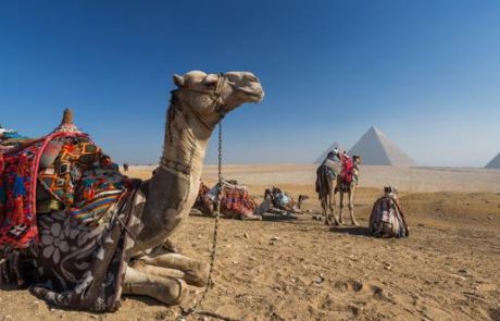 כרבע מיליון ישראלים ביקרו במצרים בשנת 2017